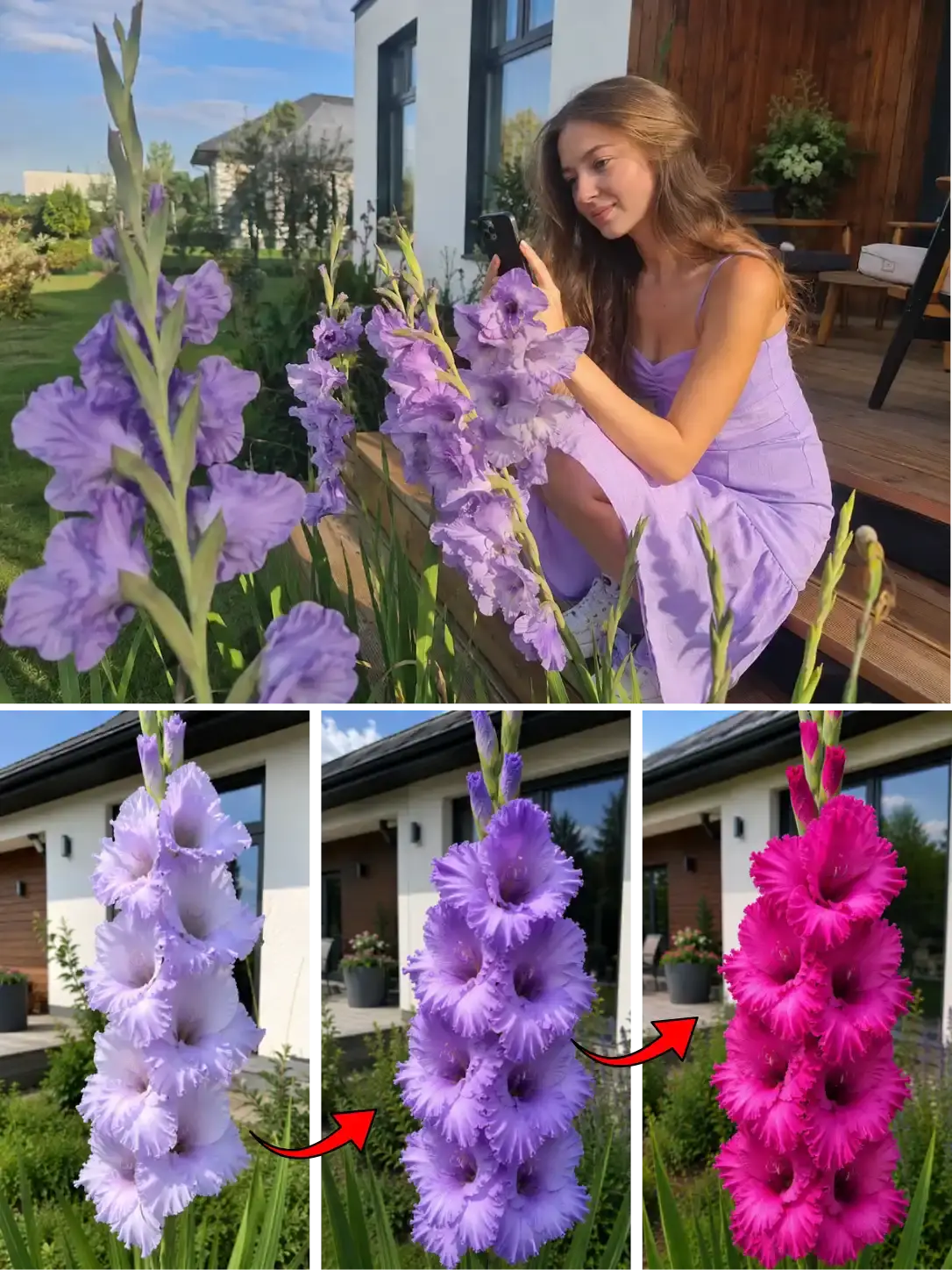 Хамелеон Малина