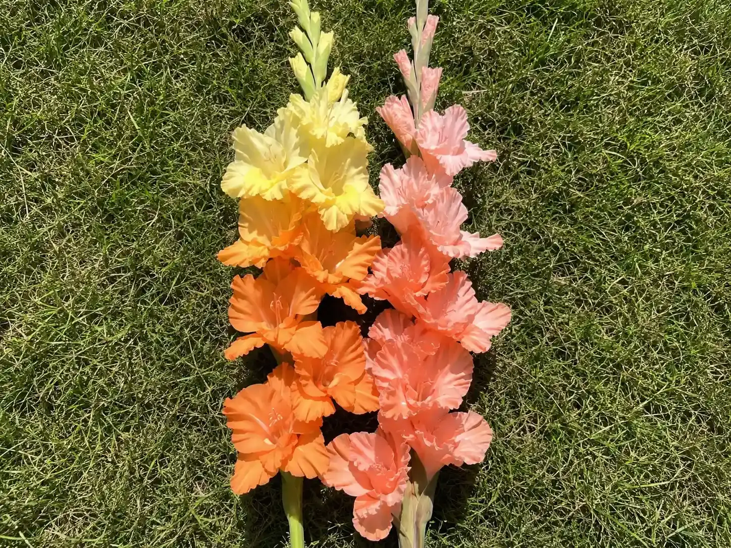 Фото 2