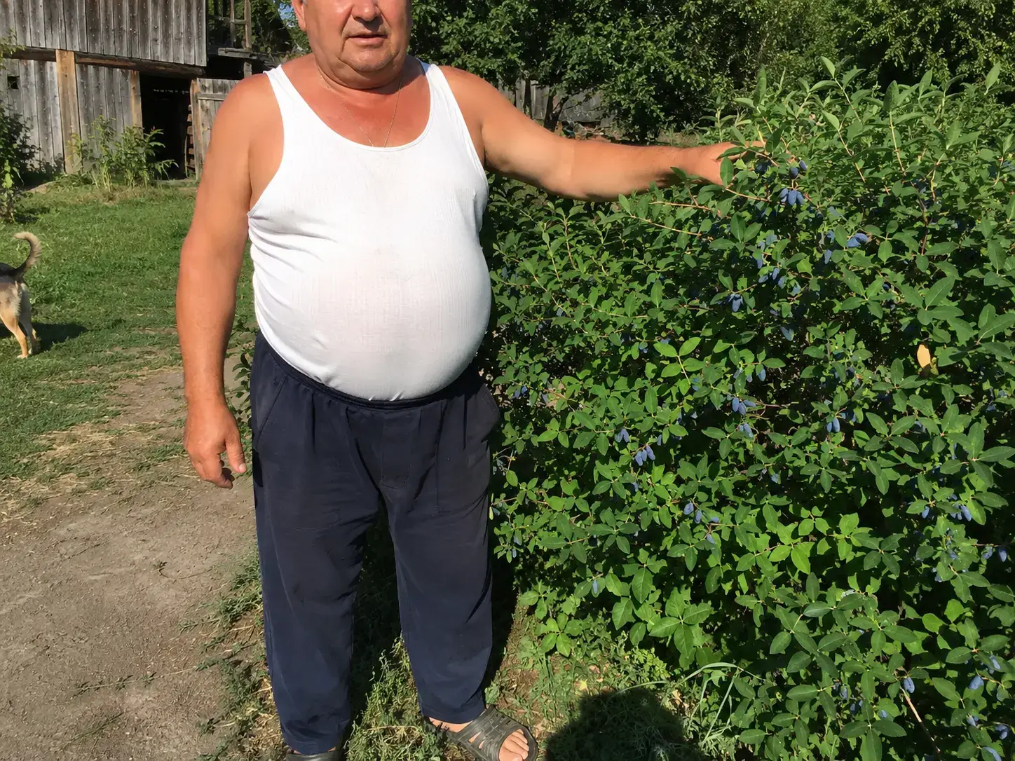 Фото-відгук